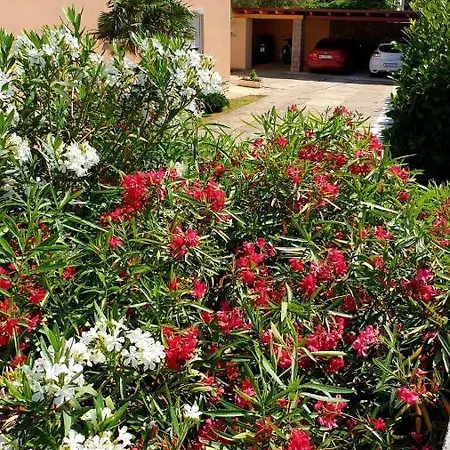 Lägenhet Luxury Lure